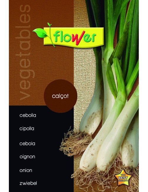 Cebolla calçot