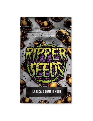 La rica x zombie kush (3) ripper seeds