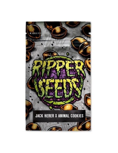 Jack herer x animal cookies (3) ripper seeds