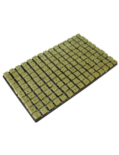 Bandeja plugs grodan (caja con 18 bandejas)