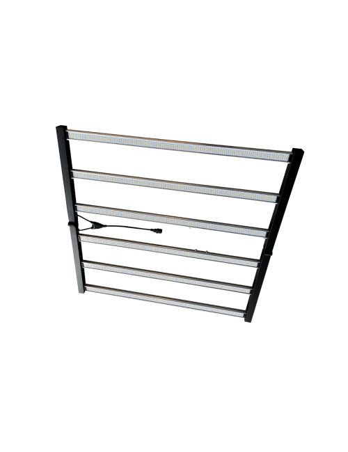 Dreamcatcher 720w
