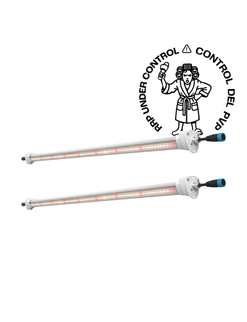 Inter canopy led