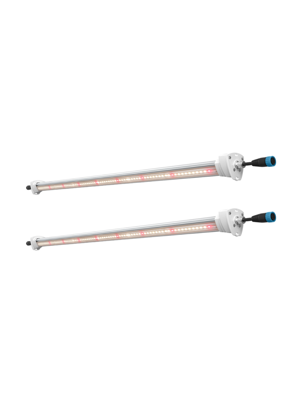 Inter canopy led