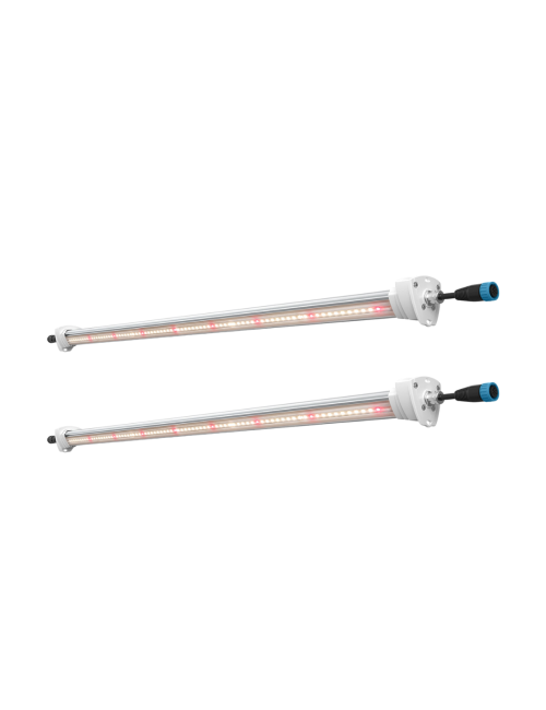 Inter canopy led
