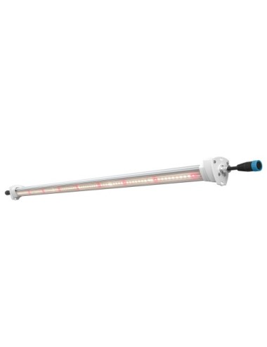 Inter canopy led