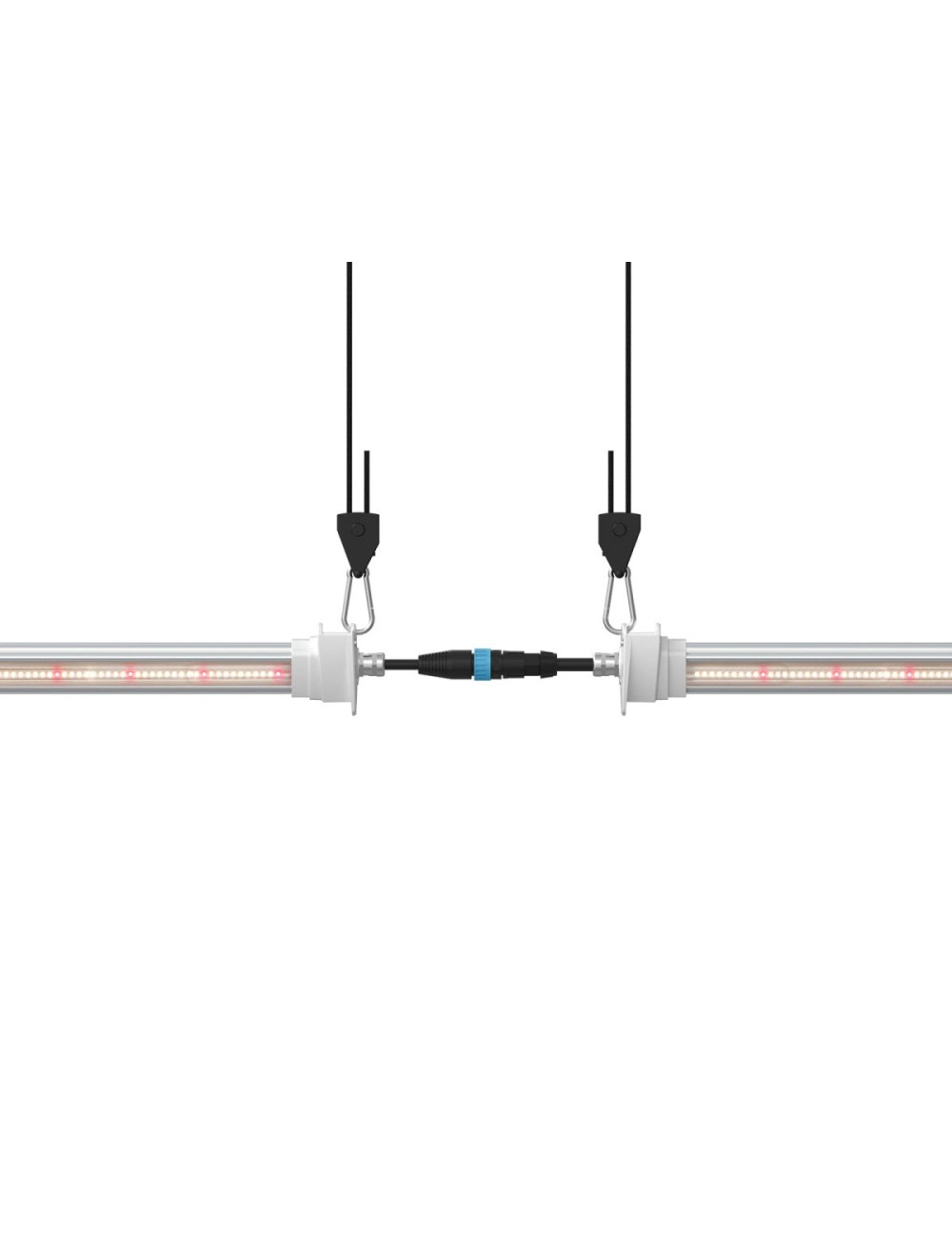 Inter canopy led