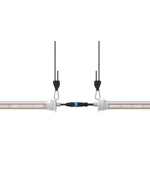 Inter canopy led