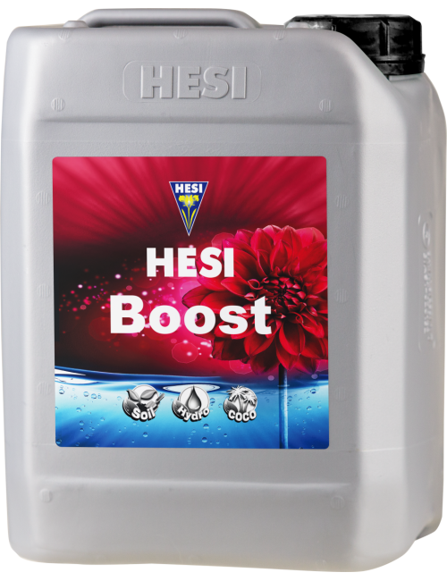 Boost