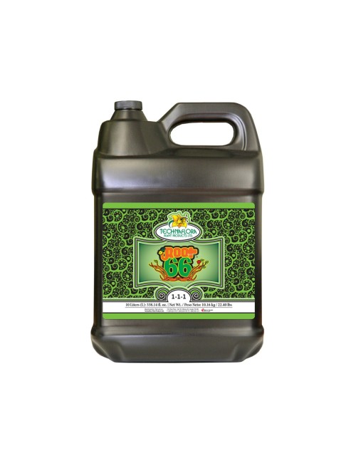 Root 66