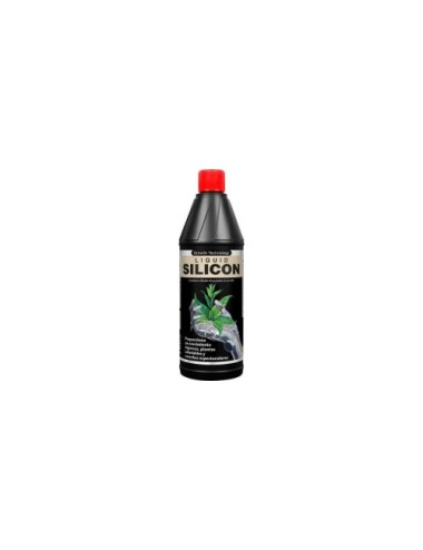 Liquid silicon