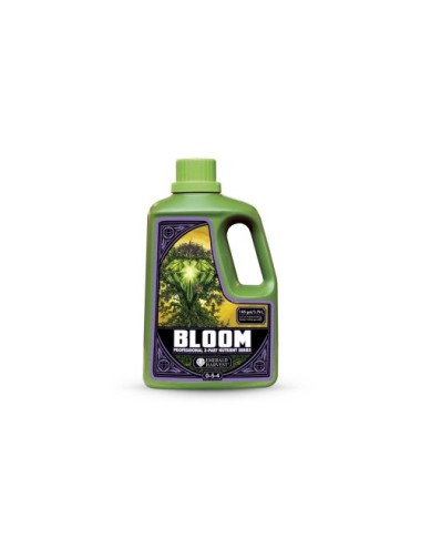 Bloom prof 3 part