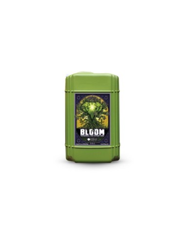 Bloom prof 3 part