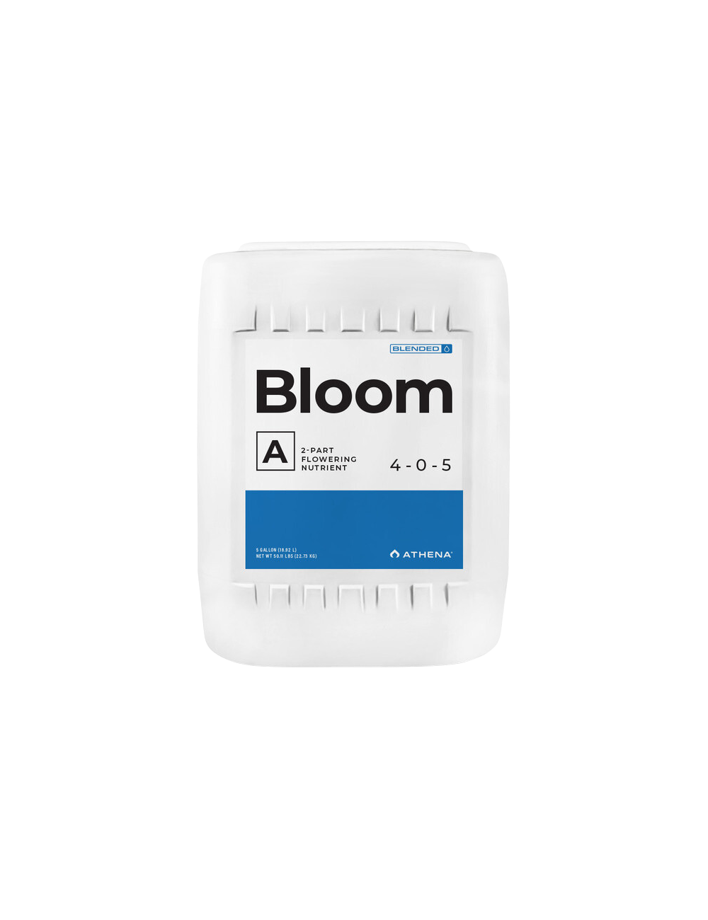 Bloom a