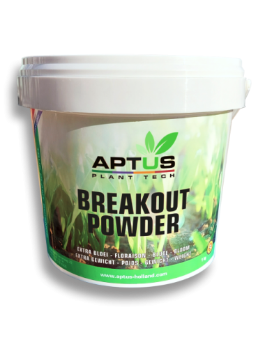 Breakout powder