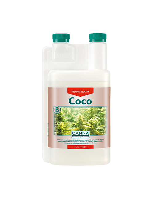 Coco b