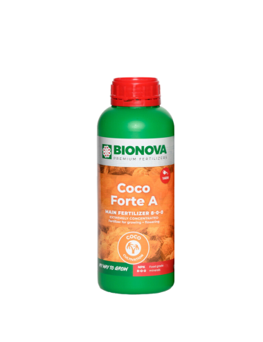 Coco forte a