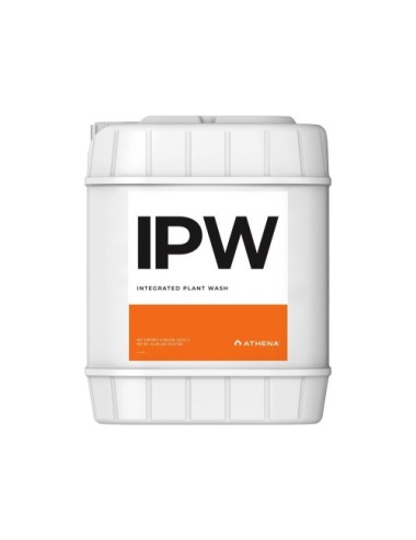 Ipw