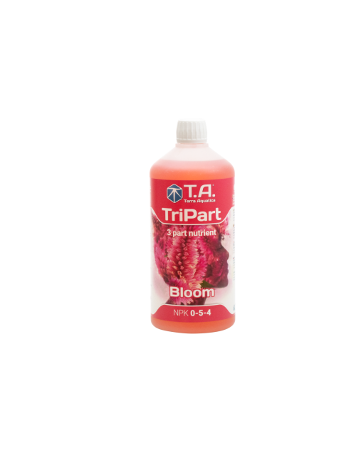 Tripart bloom