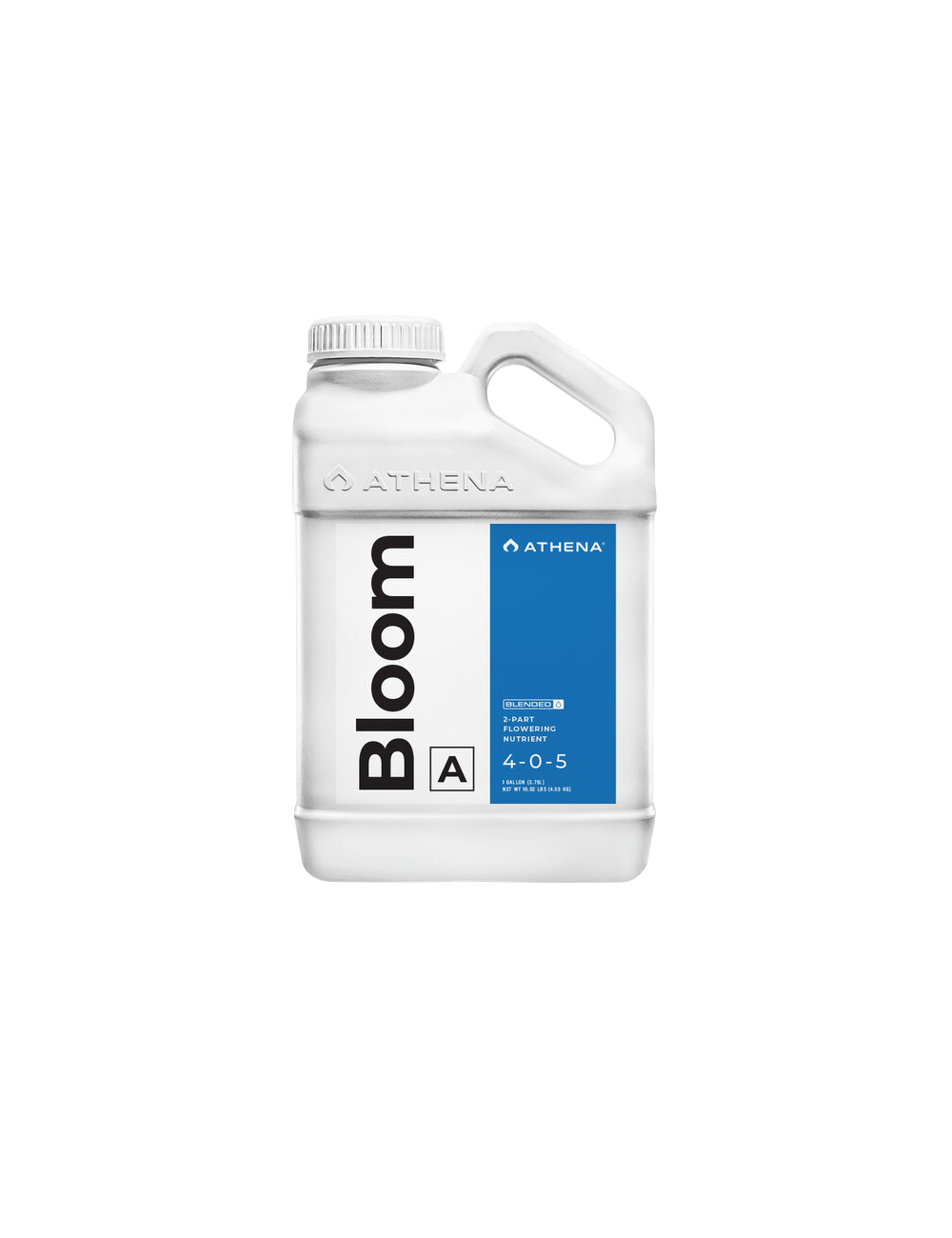 Bloom a