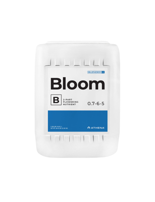 Bloom b