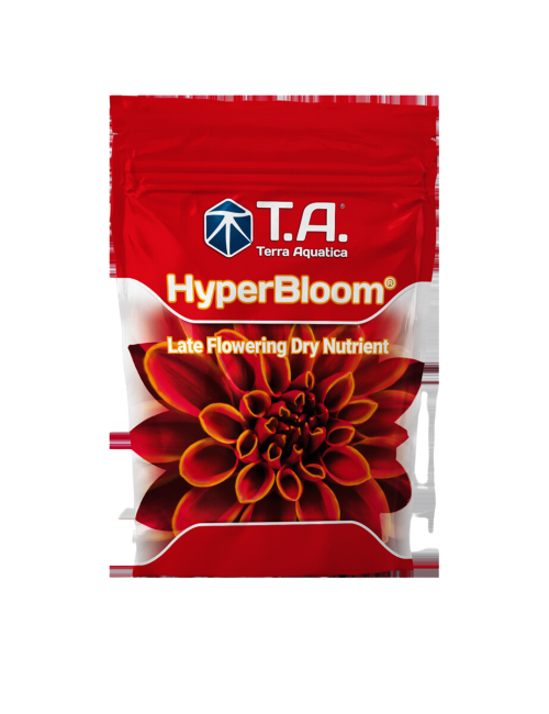 Hyperbloom