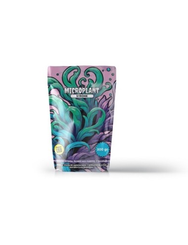 Microplant stronk