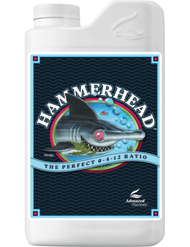 Hammerhead