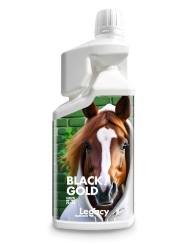 Black gold legacy